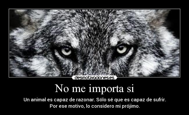 No me importa si -