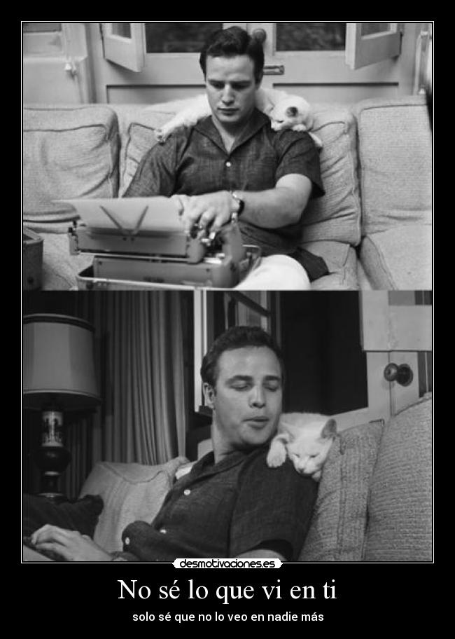 No sé lo que vi en ti - 