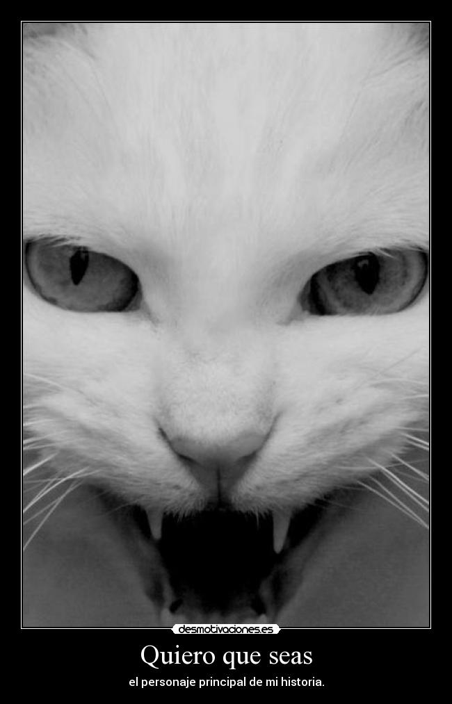 carteles noalmaltrato desmotivaciones