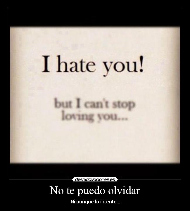 No te puedo olvidar -