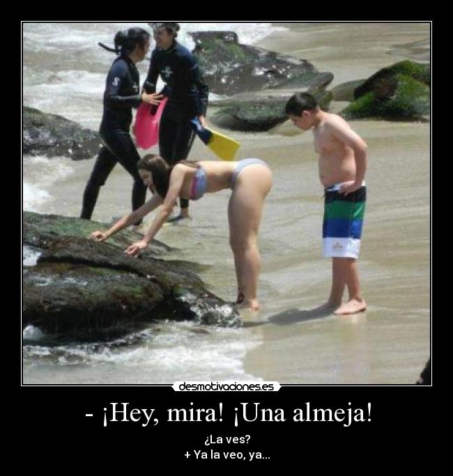 - ¡Hey, mira! ¡Una almeja! - ¿La ves?
+ Ya la veo, ya...