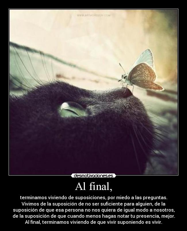 Al final, - terminamos viviendo de suposiciones, por miedo a las preguntas.
Vivimos de la suposición de no ser suficiente para alguien, de la
suposición de que esa persona no nos quiera de igual modo a nosotros,
de la suposición de que cuando menos hagas notar tu presencia, mejor.
Al final, terminamos viviendo de que vivir suponiendo es vivir.