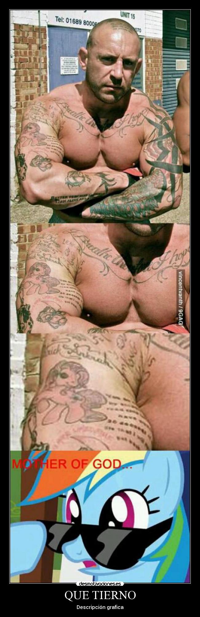 carteles tierno fail risa tonteria verdad desmotivaciones