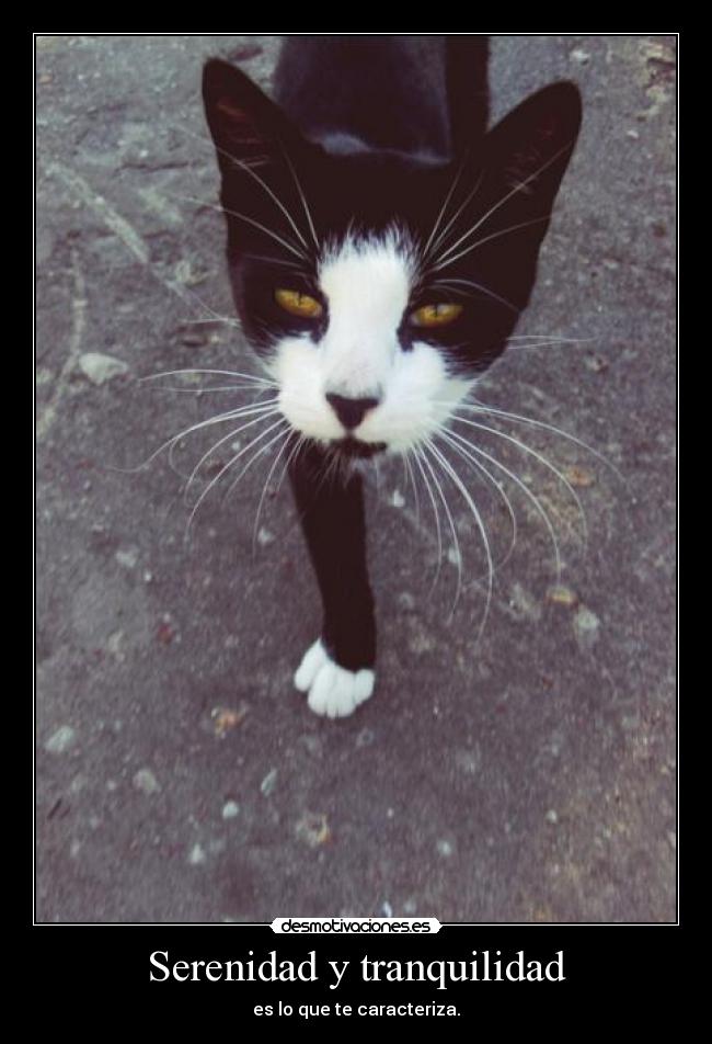 Serenidad y tranquilidad - es lo que te caracteriza.