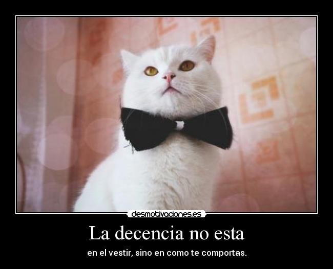 La decencia no esta - en el vestir, sino en como te comportas.