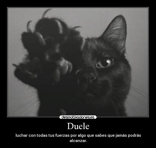 Duele -