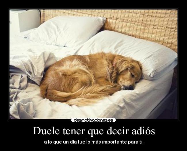 Duele tener que decir adiós -