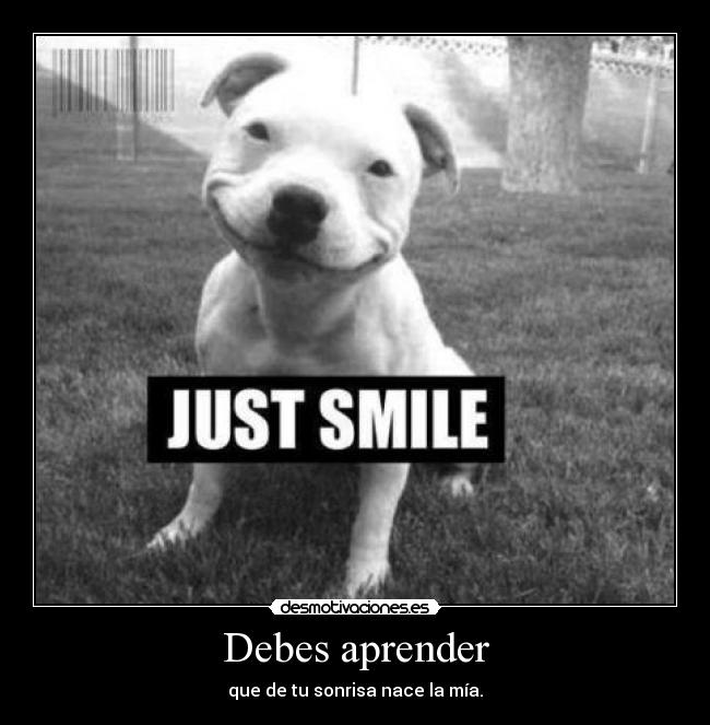 Debes aprender - 