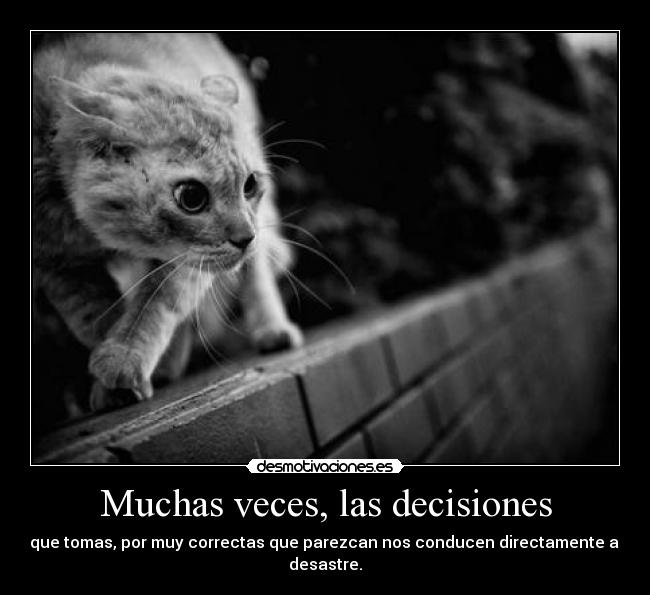 Muchas veces, las decisiones - que tomas, por muy correctas que parezcan nos conducen directamente al desastre.