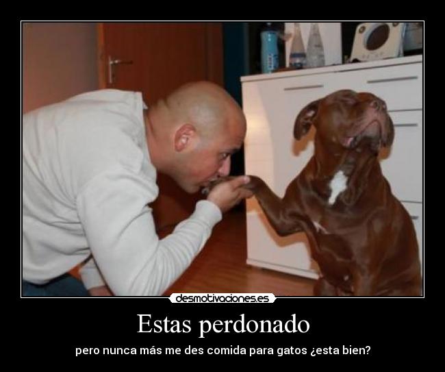 carteles perdon desmotivaciones