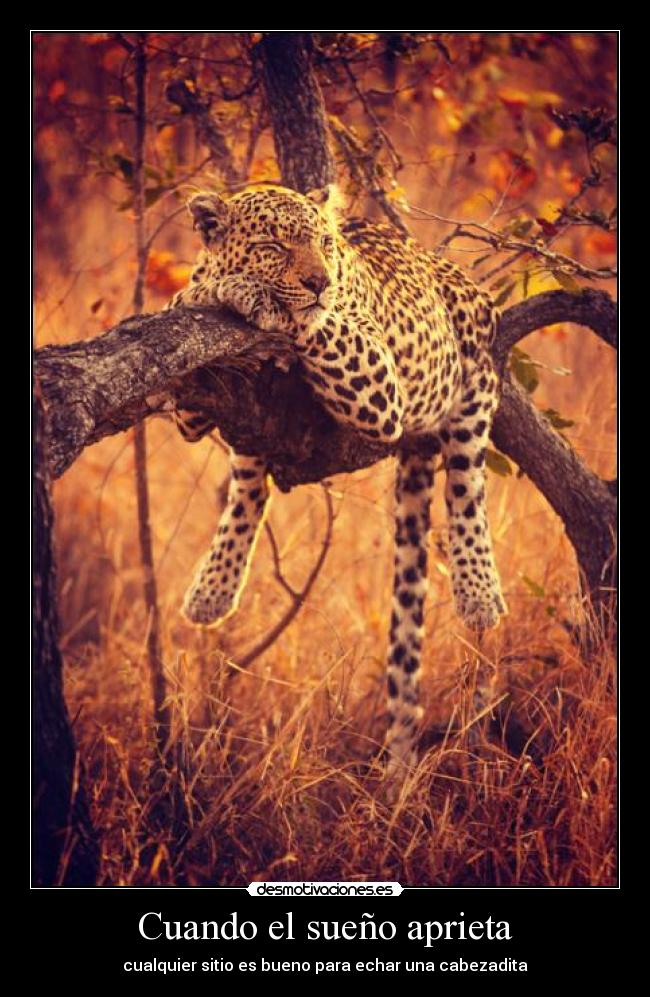 Cuando el sueño aprieta -