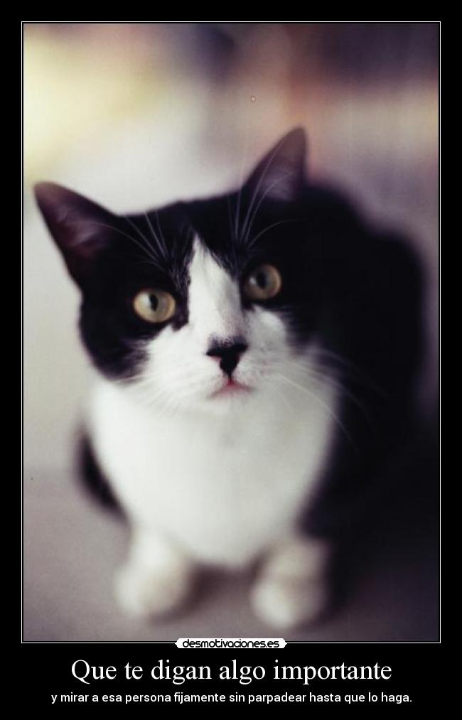 Que te digan algo importante - y mirar a esa persona fijamente sin parpadear hasta que lo haga.
