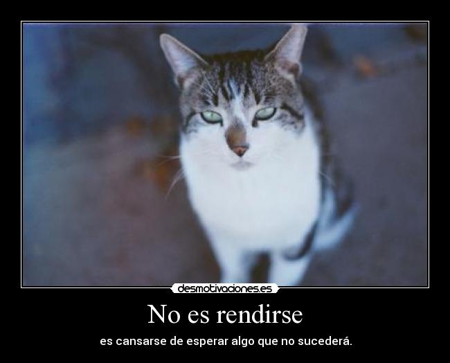 No es rendirse - es cansarse de esperar algo que no sucederá.