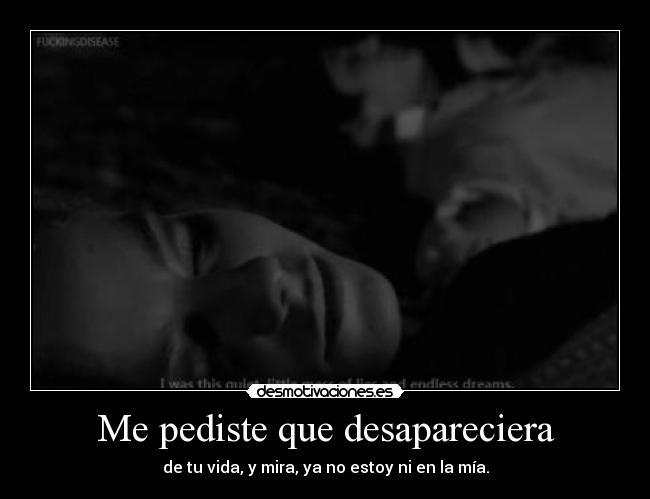 Me pediste que desapareciera -