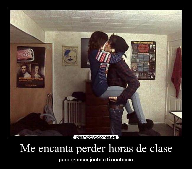 carteles veterano anatomia grey desmotivaciones