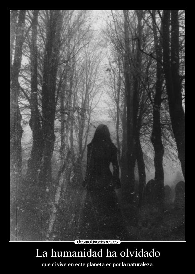 La humanidad ha olvidado -