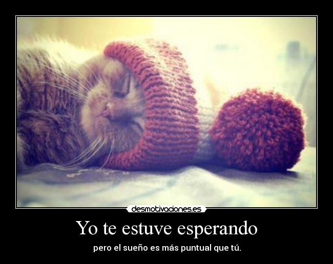 Yo te estuve esperando - 