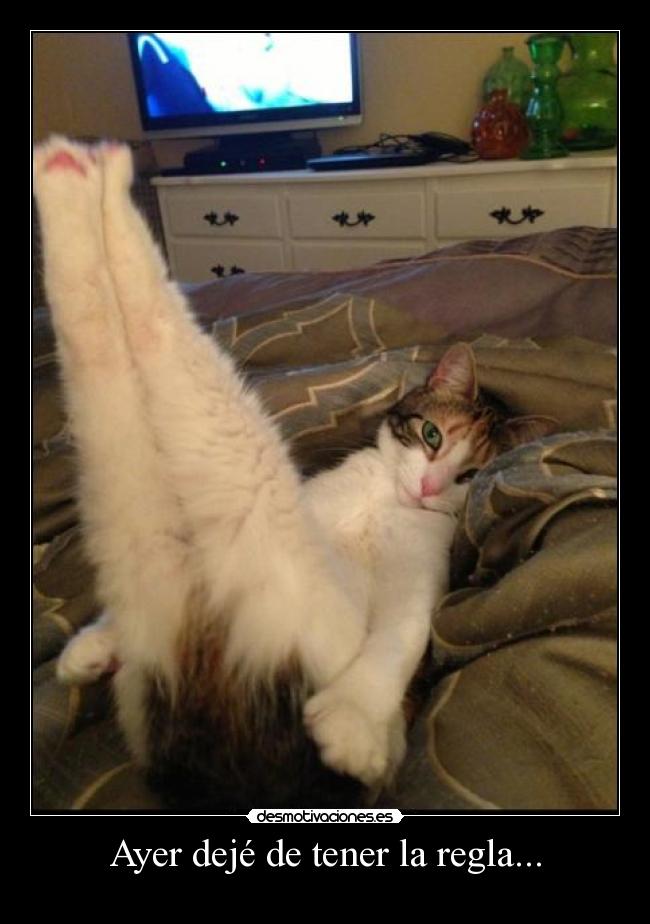 Ayer dejé de tener la regla... - 