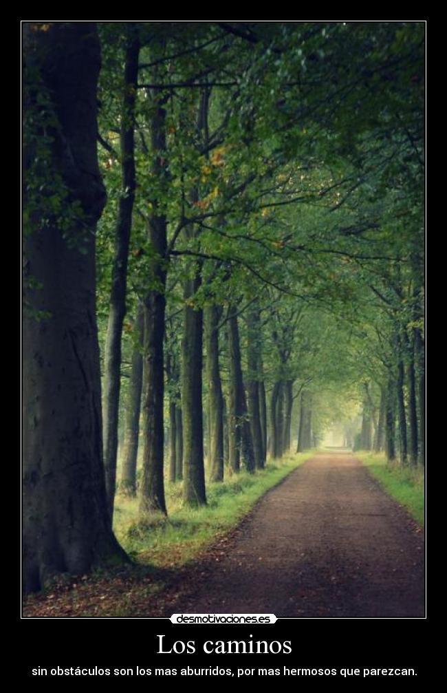 Los caminos - sin obstáculos son los mas aburridos, por mas hermosos que parezcan.