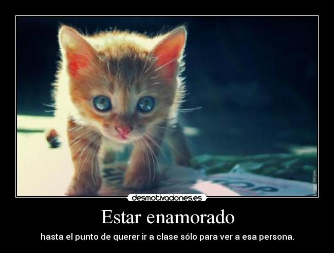 Estar enamorado - 