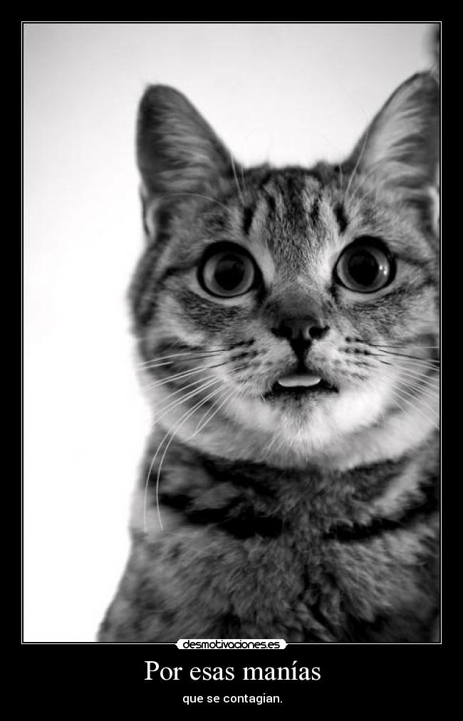 Por esas manías -