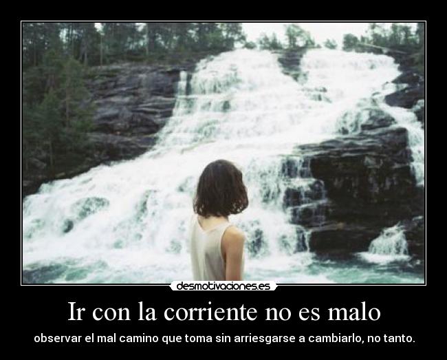 carteles true false desmotivaciones