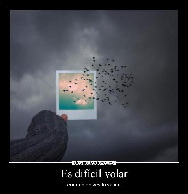 Es difícil volar - cuando no ves la salida.