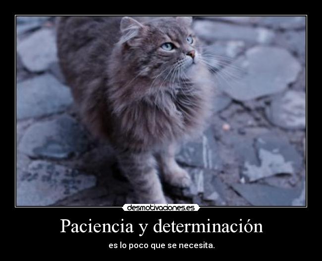Paciencia y determinación - es lo poco que se necesita.
