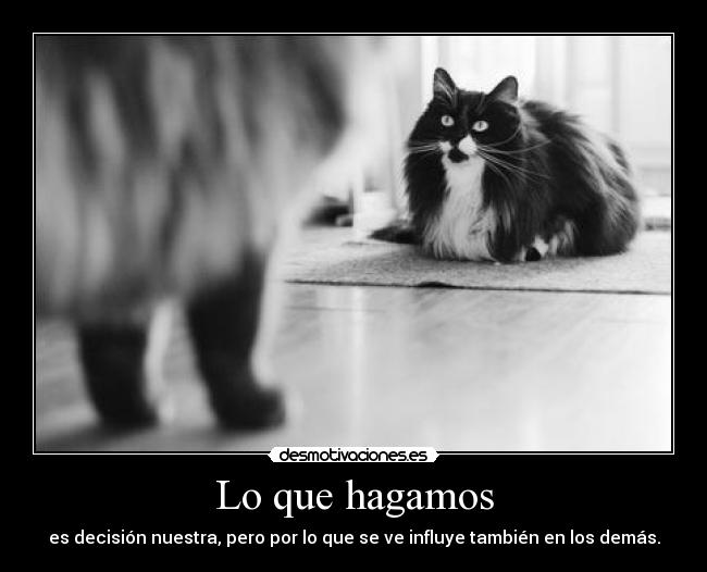 Lo que hagamos - es decisión nuestra, pero por lo que se ve influye también en los demás.