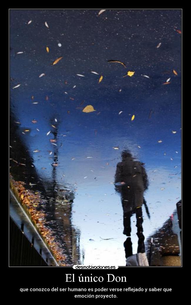 El único Don - que conozco del ser humano es poder verse reflejado y saber que emoción proyecto.