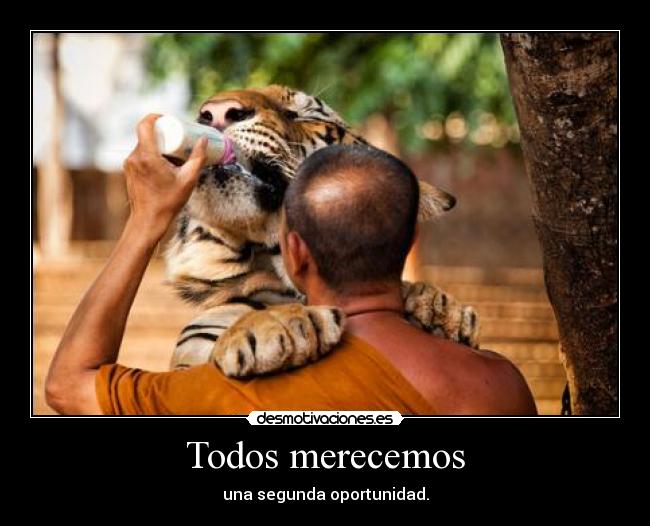 carteles lloro silencio desmotivaciones