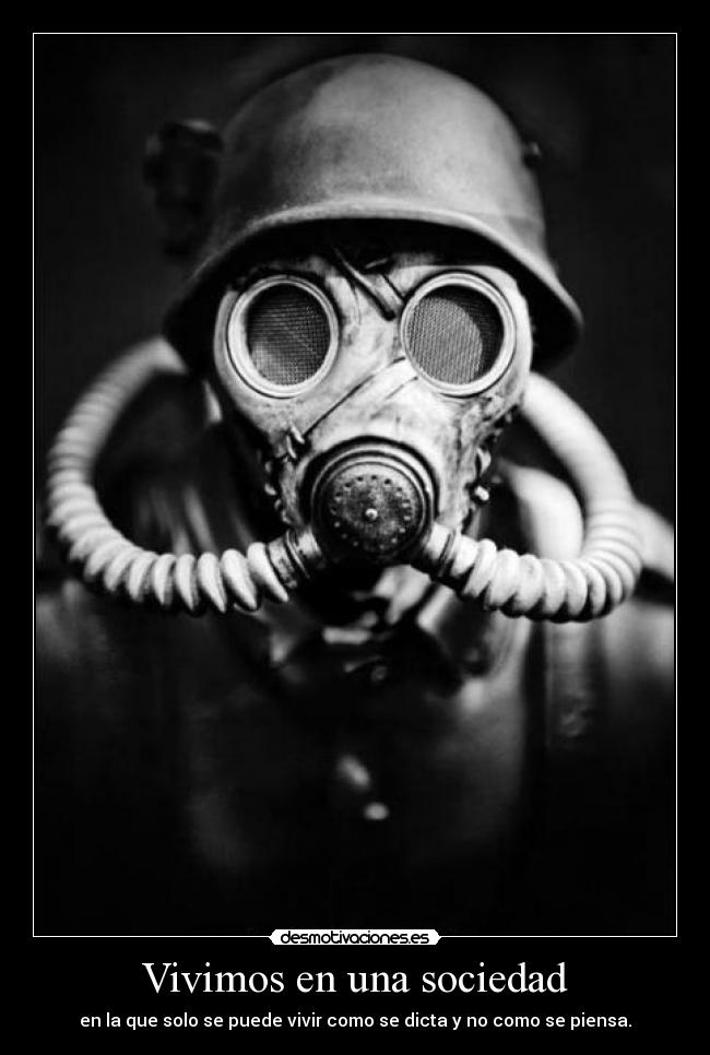 Vivimos en una sociedad -