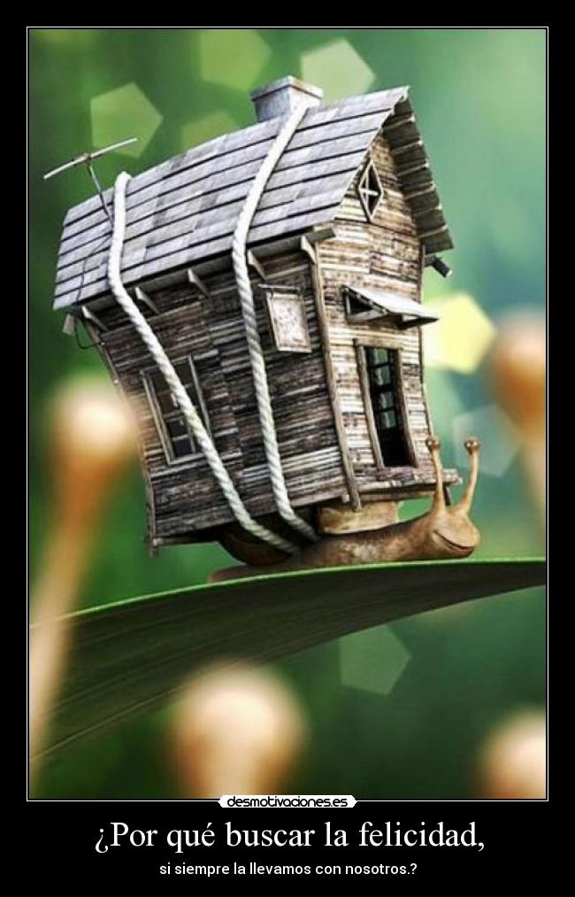 ¿Por qué buscar la felicidad, -