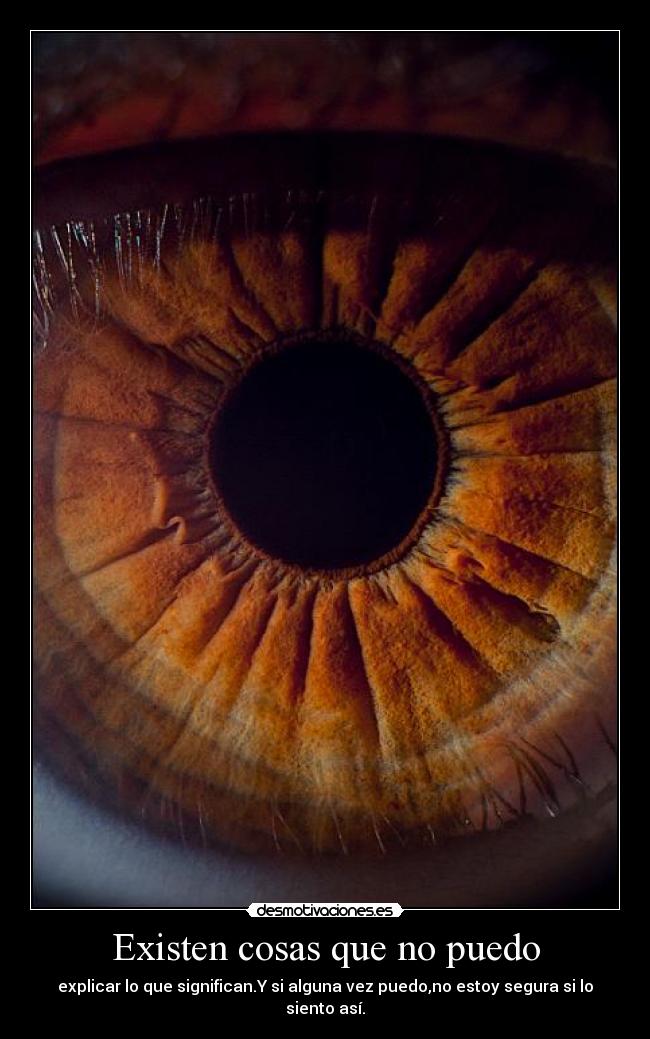 carteles darkbutterfly iris son dos musculos entiendo explicar desmotivaciones