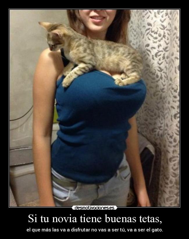 Si tu novia tiene buenas tetas, - el que más las va a disfrutar no vas a ser tú, va a ser el gato.