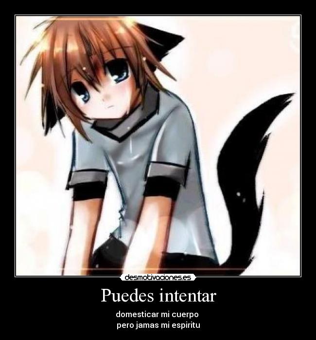 carteles lone wolf desmotivaciones
