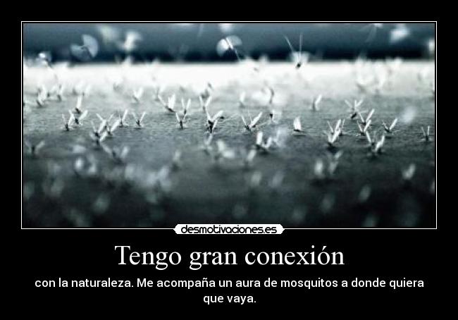 Tengo gran conexión -