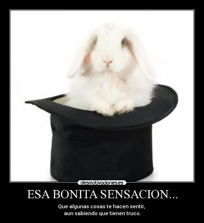 ESA BONITA SENSACION... - Que algunas cosas te hacen sentir,
aun sabiendo que tienen truco.