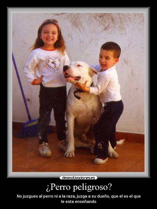 ¿Perro peligroso? -
