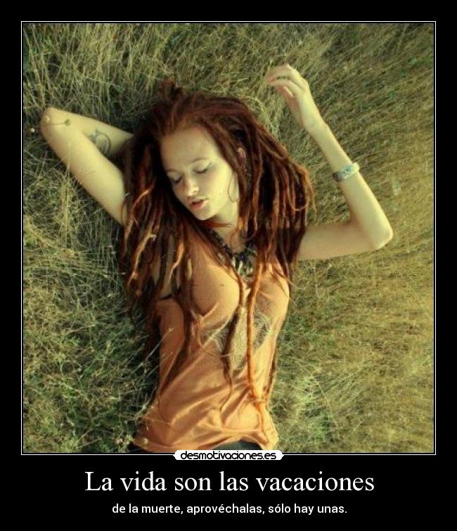 carteles vida andres92 carteles rasta veinticinco quiero princi rasta desmotivaciones