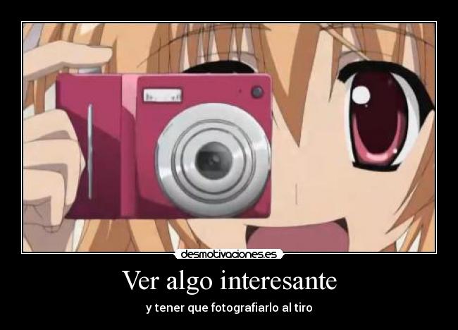 Ver algo interesante - y tener que fotografiarlo al tiro