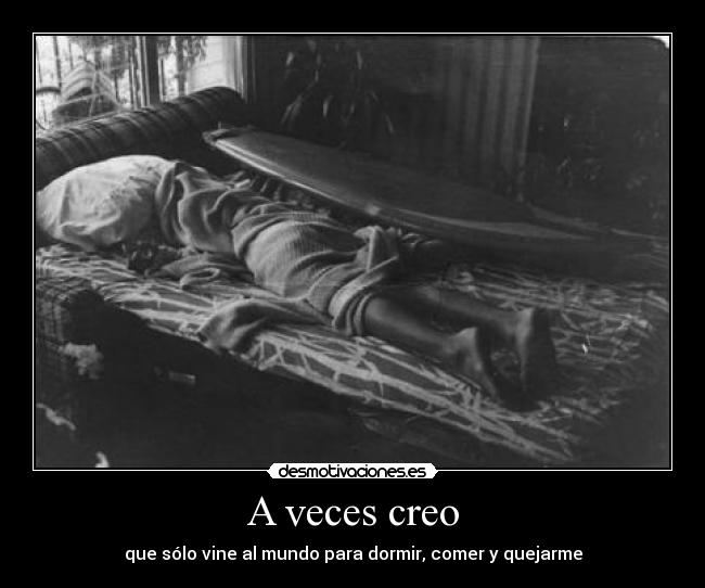 A veces creo - que sólo vine al mundo para dormir, comer y quejarme