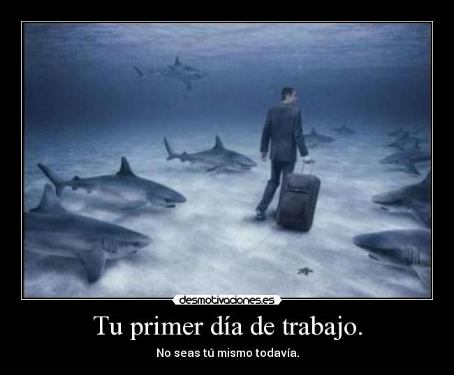 Tu primer día de trabajo. - No seas tú mismo todavía.