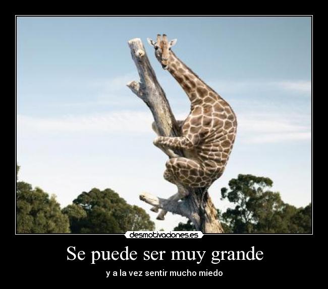 carteles poder ser grande sentir mucho miedo ely desmotivaciones