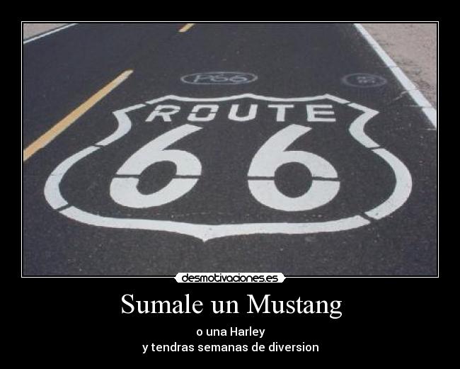 carteles ruta mustang harleydavidson desmotivaciones