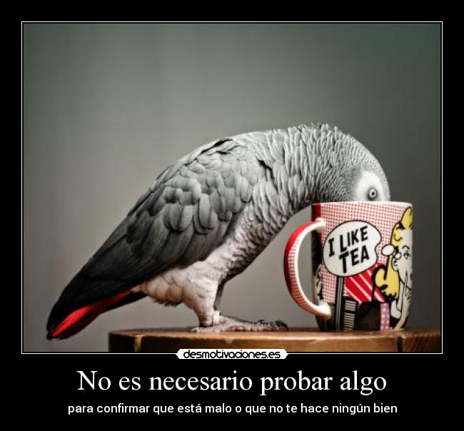 No es necesario probar algo - 