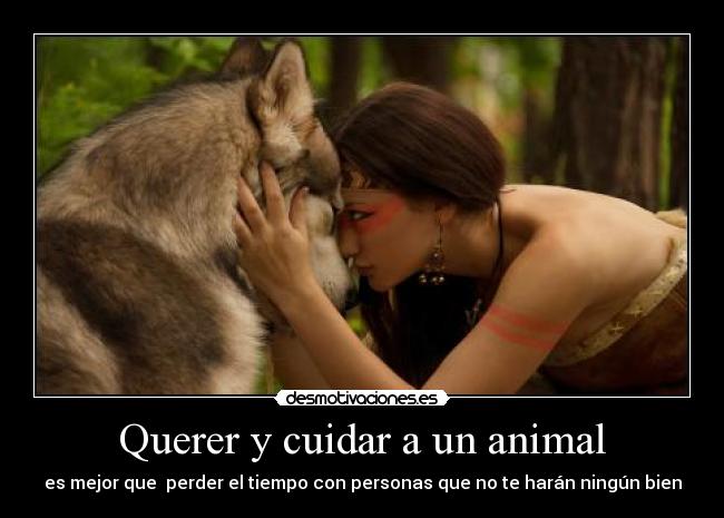 Querer y cuidar a un animal - 