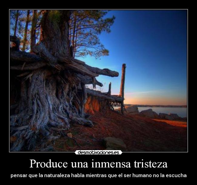 Produce una inmensa tristeza - pensar que la naturaleza habla mientras que el ser humano no la escucha