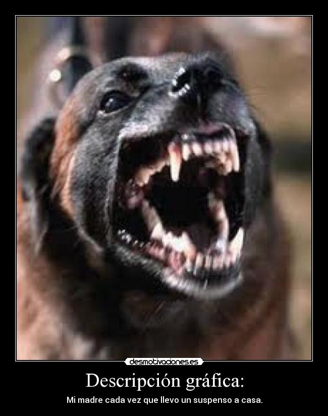 Descripción gráfica: - 