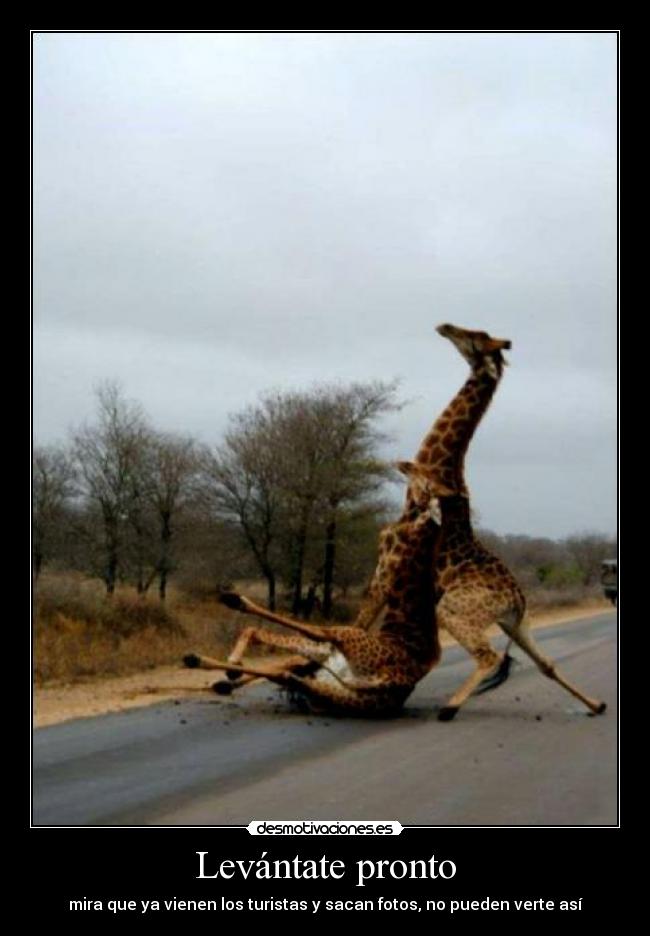 Levántate pronto -
